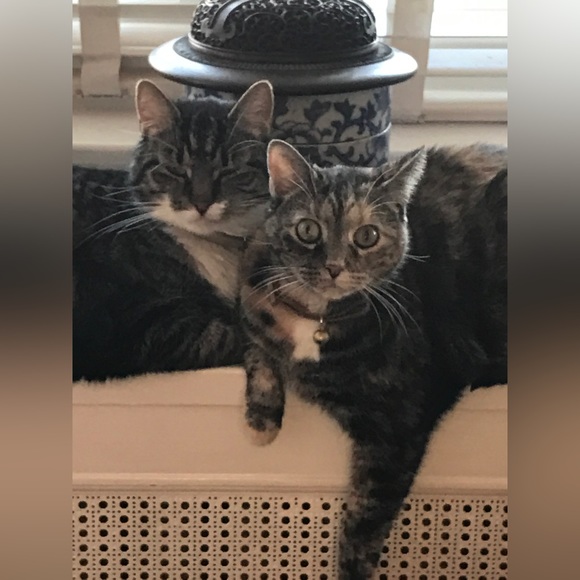 Meet Your Posher, Michael! - Picture 7 of 9